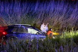 20260514_A5_lijnden_02 kopie small