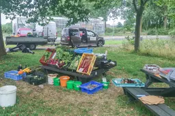 blog 19 juli volop  groente op new terra