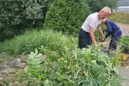 blog12 juli stene veld vooren na schonen