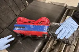 Bokshandschoenen
