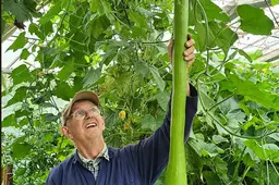 blog2 augustus wie wil er een stkje courgette
