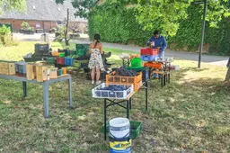 blog9 aug newterra markt