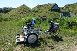 zonnebloemfiets 2
