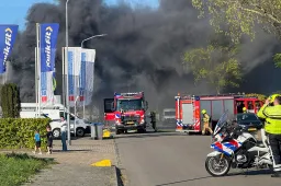 WhatsApp Image 2026-04-25 at 19.09.31