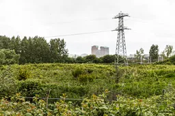 494a3637-aagtenpark-wim-meijer-fotografie
