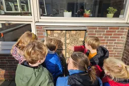 perberichtinsectenhotel mambo bso