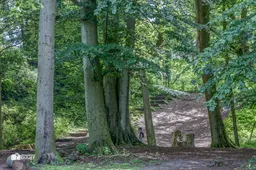 Groenendaalse bos