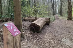 dbf8-019d1b0fa98273c1a094adbaedd8b8d8