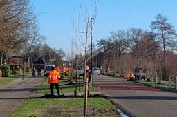 IMG-20260115-WA0000-768x1024