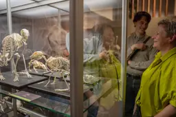 260423 7367 Opening expositie Uitgeleefd