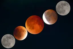 pexels sabarish sankaran 7630984 33877023