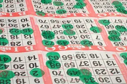 aypy6ht8oobj7mc1zhjk82qgu ww bingo