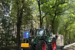 eikenprocessierups bestrijding