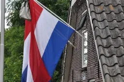 geslaagd examen vlag 710x284