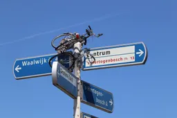 img 0764
