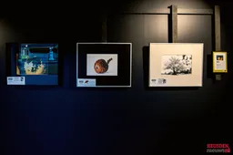 wg5 2417 2025 wil gulpen fotografiejpg