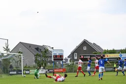 wg5 3711 2025 wil gulpen fotografie