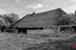 WGZ_3885 C2024 Wil Gulpen Fotografie