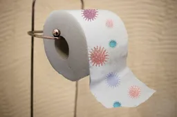 toilet-paper-5002799_1280