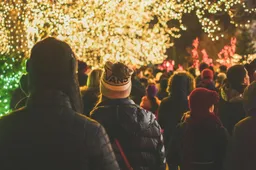 pexels-davidguerrero-1682528