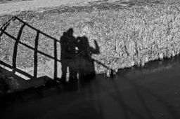 11 - Schaduw  - Kees