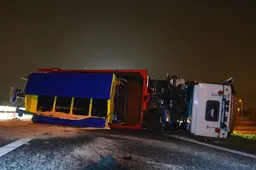 370f8d7c-f7dc-4f80-b15c-df48c0d65a1b