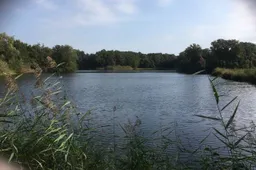 58AF7141-505C-4F7E-B1CD-CB437CAC9D37_1_105_c