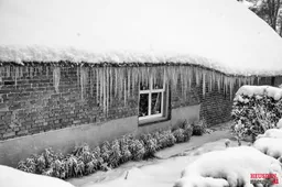 WG6_1168 C2026 Wil Gulpen Fotografie