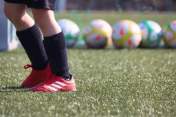 planet_fox-youth-football-7091354_1280