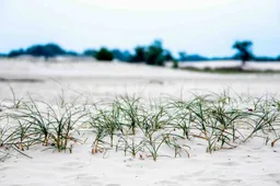 3 2026-04-19a_Persbericht NMVH_Lezing Zand_Zandzegge_foto Ad Hartjes-afb 6.16_LR