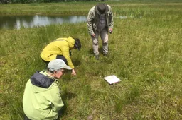 3 2026-04-26c_2024-04 Planten-inventarisatie - Klini-Hermien-Peter -  IMG-5302