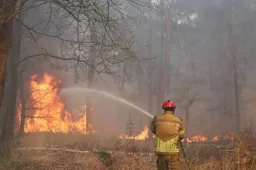 img-1025-67fb528a21e70