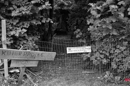 WGZ_6622-Kuierpaoike-zw