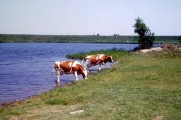 Onsenoort