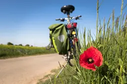 didgeman-to-go-biking-5178398_1920