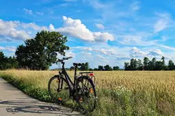 wellox-summer-2462535_1920