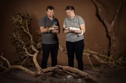Reptielen 2