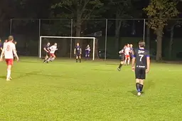 EDN1-SCElshout1