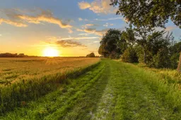 zomer1