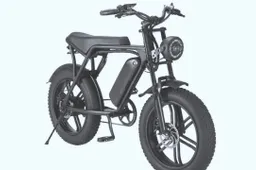 fatbike in beslag