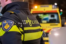 schermafbeelding 2025 03 18 om 111650