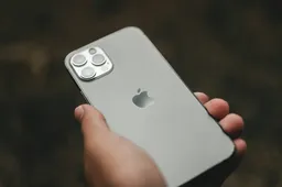 kevin-wang-qX219J4ydZk-unsplash