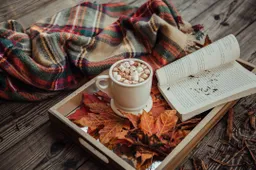 artikel_1670_afbeelding