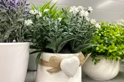 kunstplant