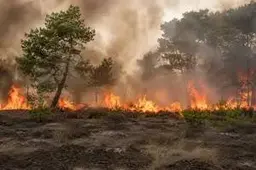 bosbrand-limburg-6a7093230949c
