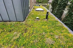 groen dak 9599c9b8ed