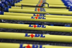 lidl onderwijsgek wikimedia 715x408