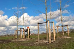 parkbos haarzuilens