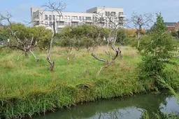 csm boomgaardtuin beeldentuinlaan leidsche rijn 768c2d8d00