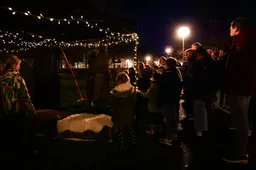 2025-kort-en-krachtig-55-633